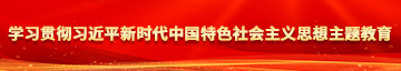 长屌与肥屄学习贯彻习近平新时代中国特色社会主义思想主题教育